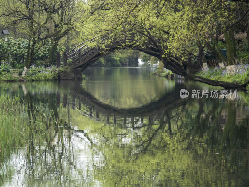 杭州西湖茅家埠江南水乡风景