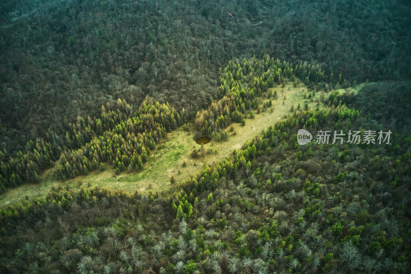 神秘的原始神农架林区