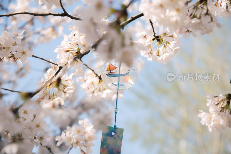 樱花春天风铃季节