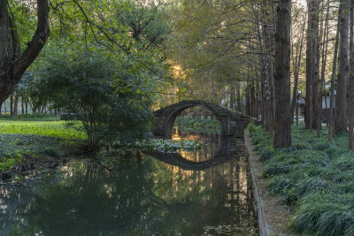 杭州西湖茅家埠江南水乡风景