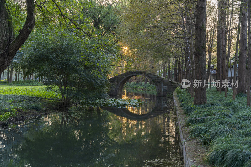 杭州西湖茅家埠江南水乡风景