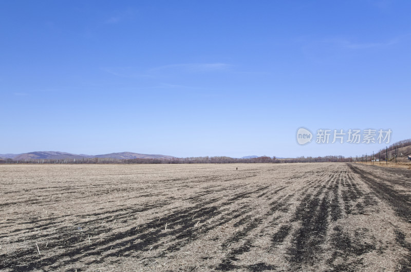 内蒙古呼伦贝尔临江屯草原牧场秋景