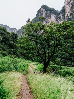 太行山南太行山间小道