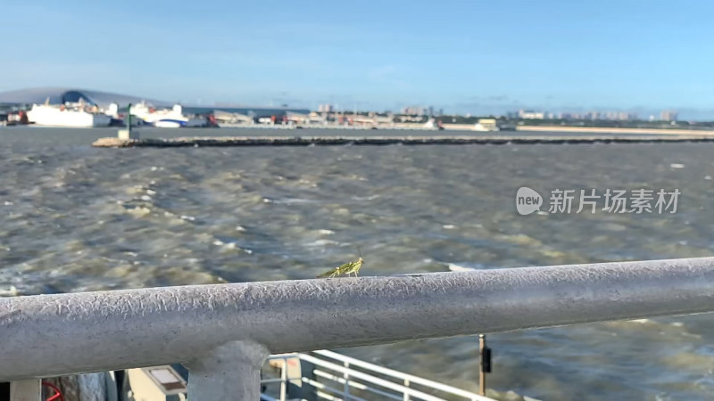 琼海海峡湛江徐闻港轮渡码头