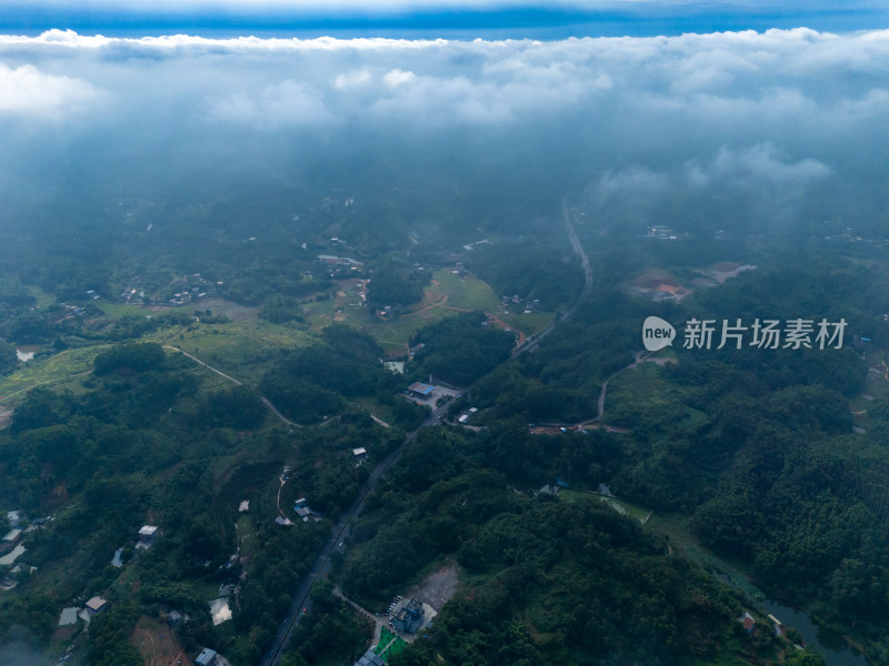 四川乐山云海航拍图