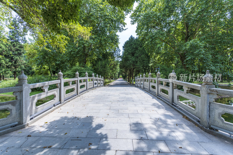 武汉江岸区解放公园风景