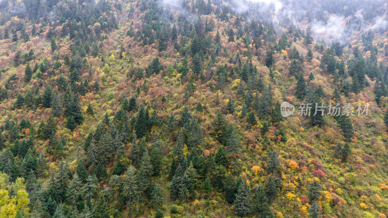 阿坝州黄龙风景名胜区秋色