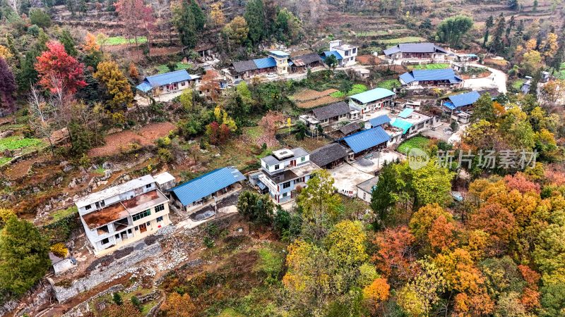 重庆酉阳：五彩林下的村庄