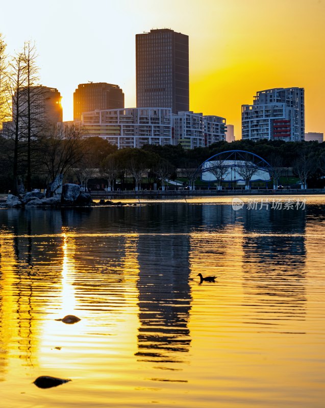 城市湖畔夕阳倒影景观