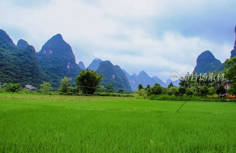 桂林阳朔遇龙河风光