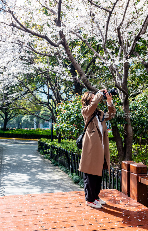 上海樱花季春天景观