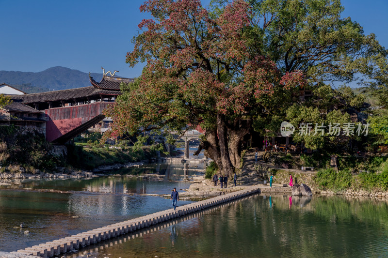 浙江温州泰顺北涧桥