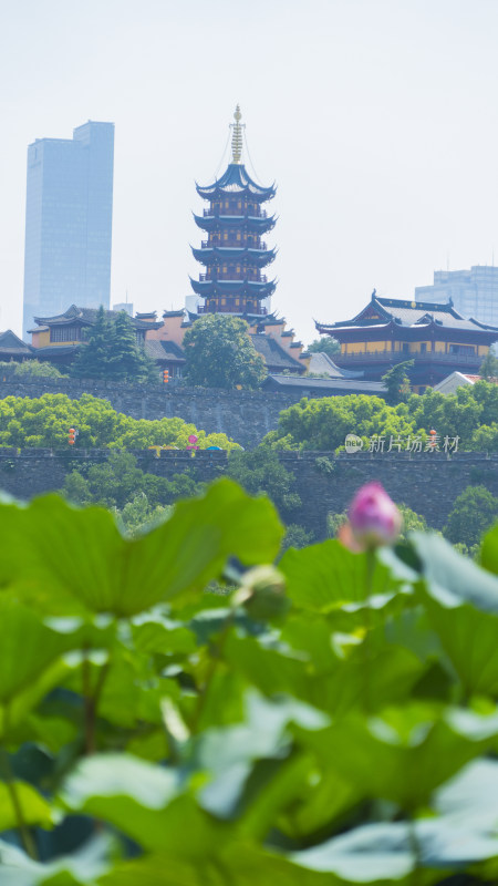 古塔建筑与绿叶相映成趣的城市风景