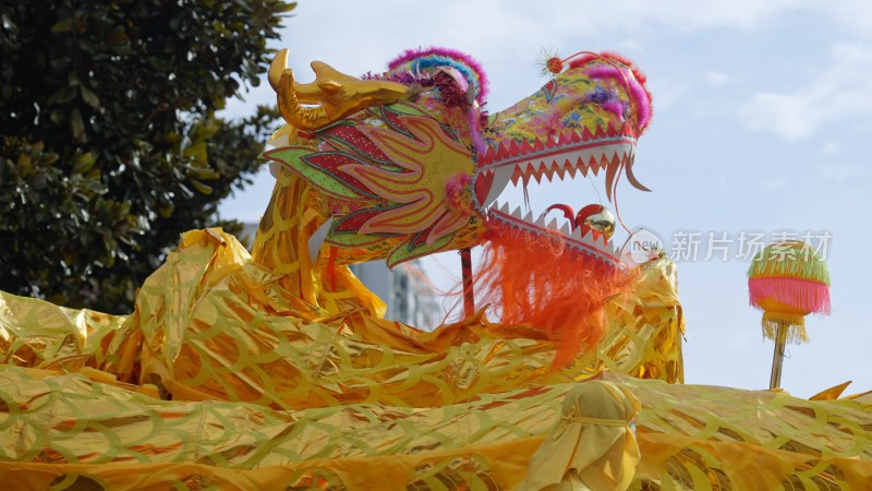 节日舞龙庆祝