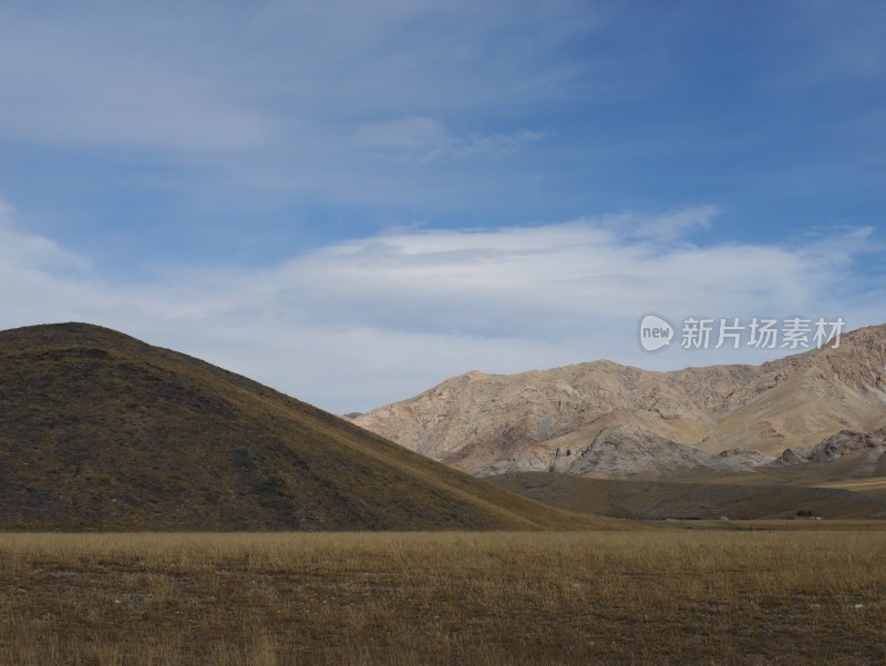 新疆山脉山地草地