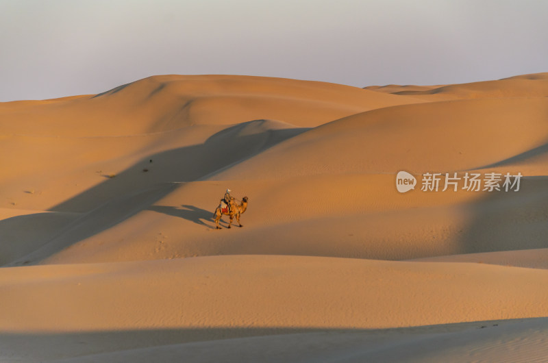 沙漠中的牧民与骆驼
