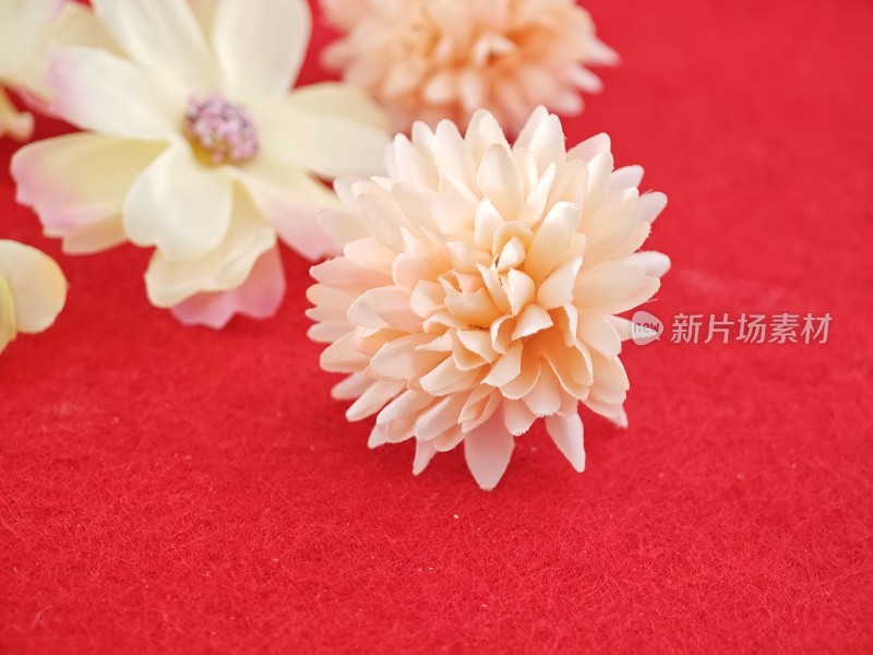 红色背景上的花朵饰品