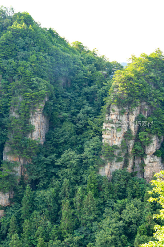 中国湖南张家界景区奇特山峰与茂密森林