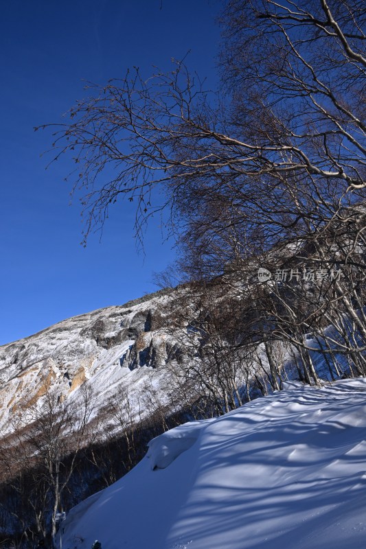 雪后山地景色 蓝天枯枝相映衬