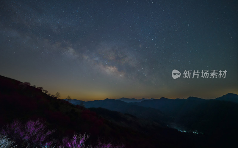 花海银河