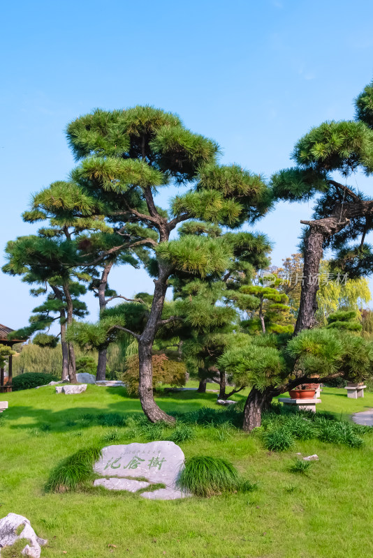 晴朗的午后，扬州瘦西湖江南园林风景