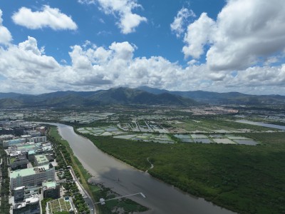 福田红树林生态公园