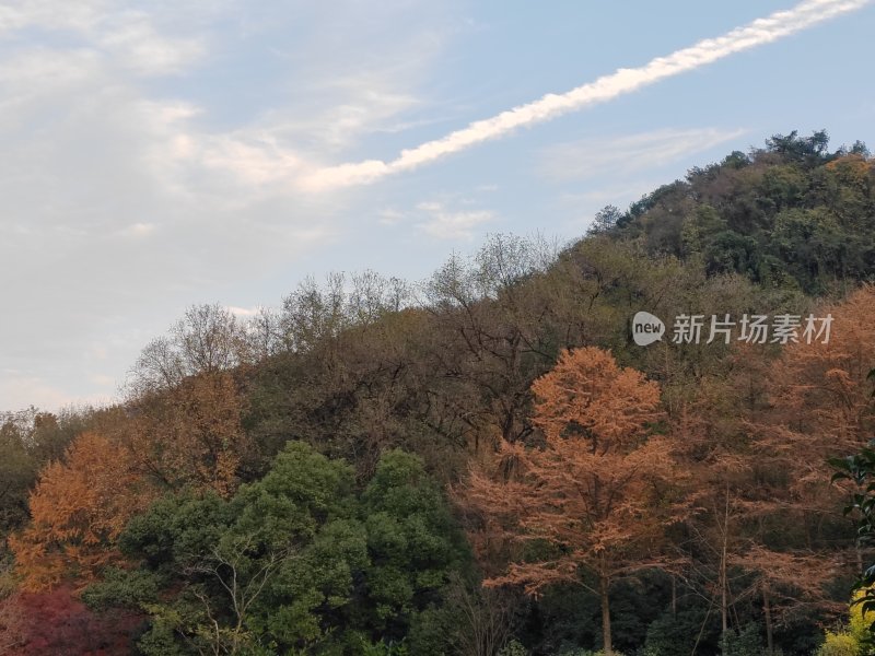 多彩山林自然风景图