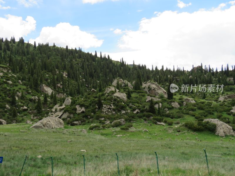 新疆独库公路风景