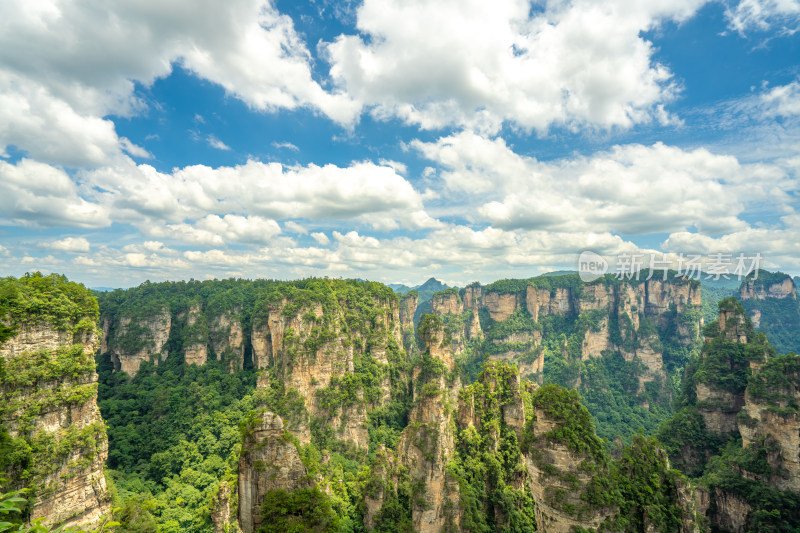 中国湖南张家界景区奇特山峰与茂密森林