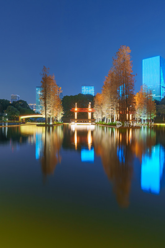 佛山千灯湖公园落羽杉红叶与城市夜景灯光