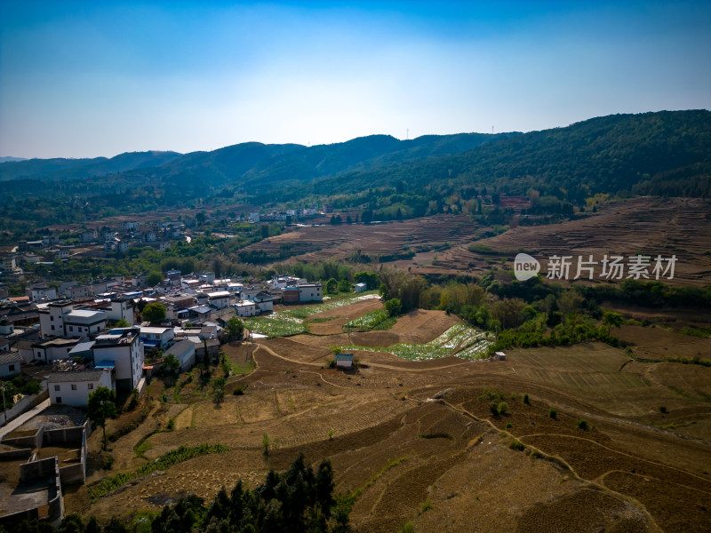 大山山区农业种植航拍摄影图