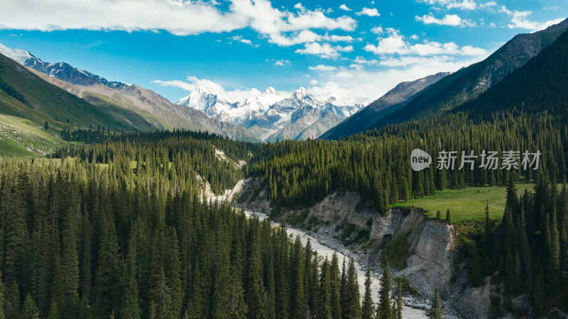 航拍雪山森林河流风景