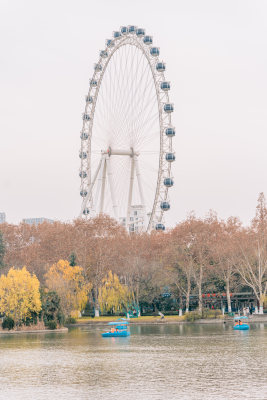 合肥逍遥津公园湖景与摩天轮景观