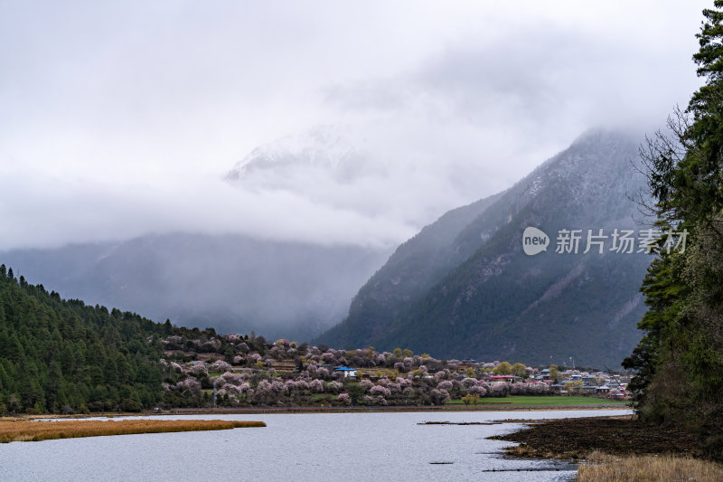 西藏林芝地区藏王故里桃花沟云雾高原村庄