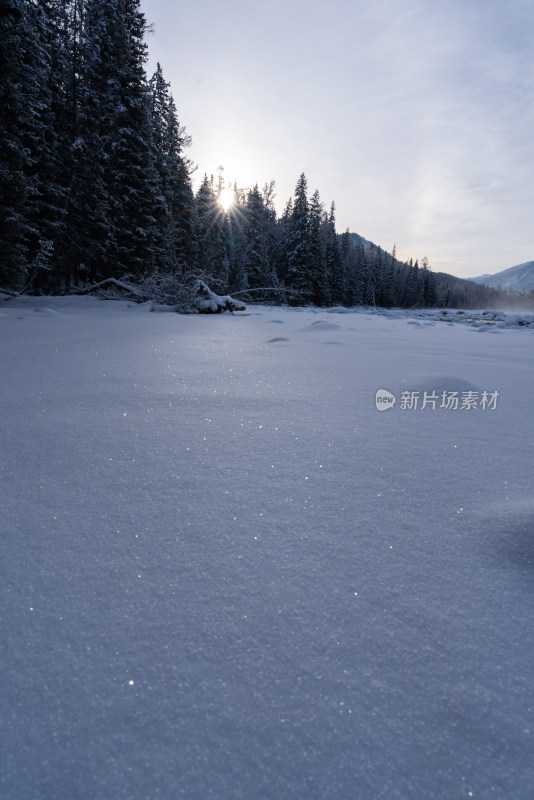 清晨新疆喀纳斯河边的白雪