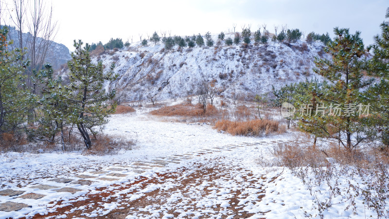 公园山谷小路雪景