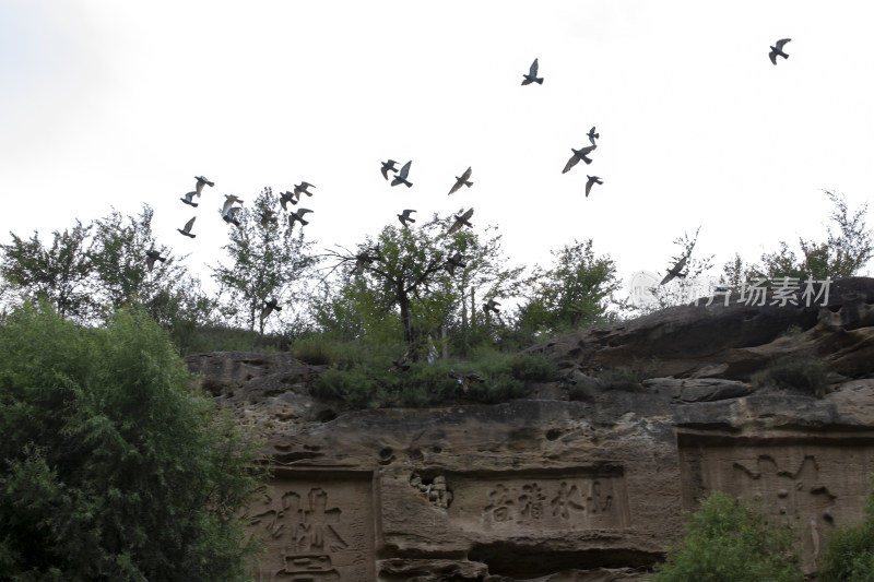 榆林红石峡风景飞鸟