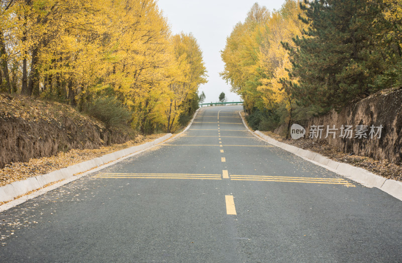 秋天的乡村公路