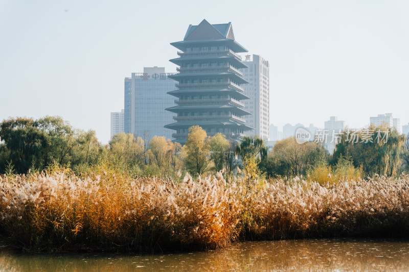 甘肃兰州黄河楼