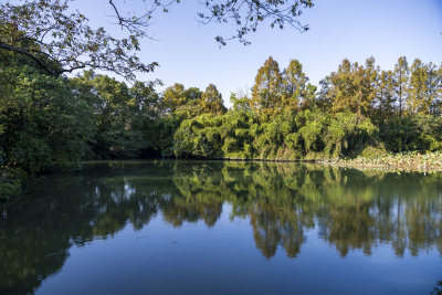 杭州西湖茅家埠江南水乡风景