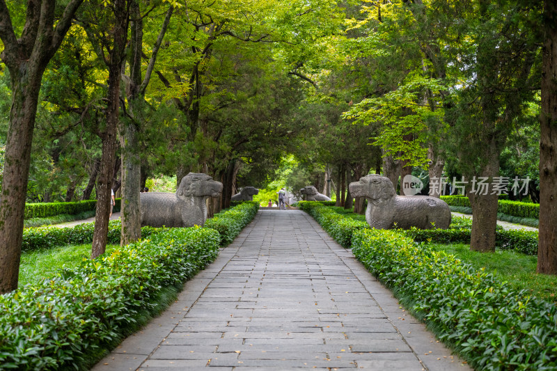 南京钟山明孝陵景区石像路夏季