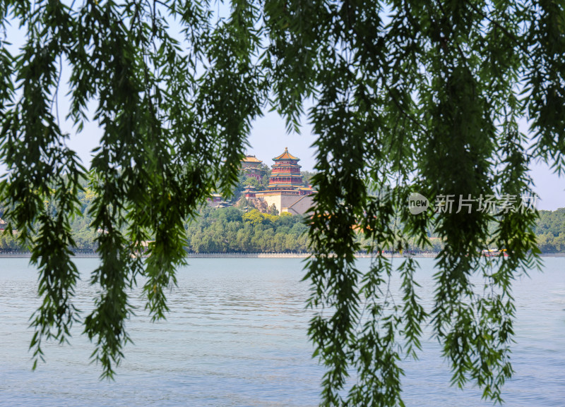 透过昆明湖边的绿树遥望颐和园万寿山