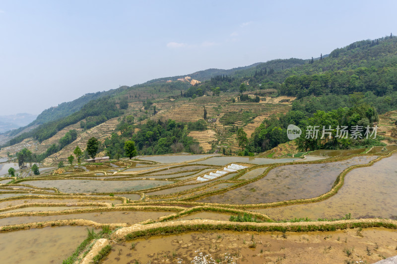 层层叠叠的元阳梯田景观