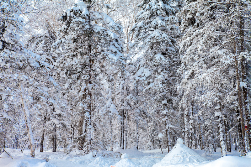 黑龙江 双峰林场 雪乡