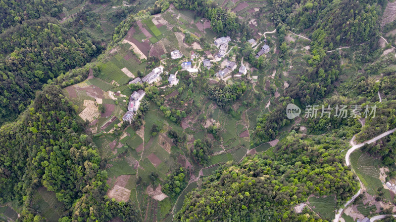 美丽大山山峰农村农业农民茶园