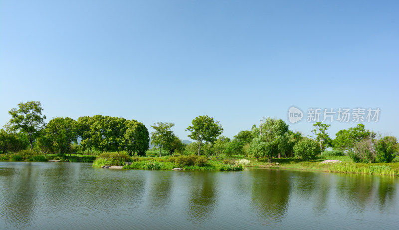 良渚遗址湿地公园风光美景