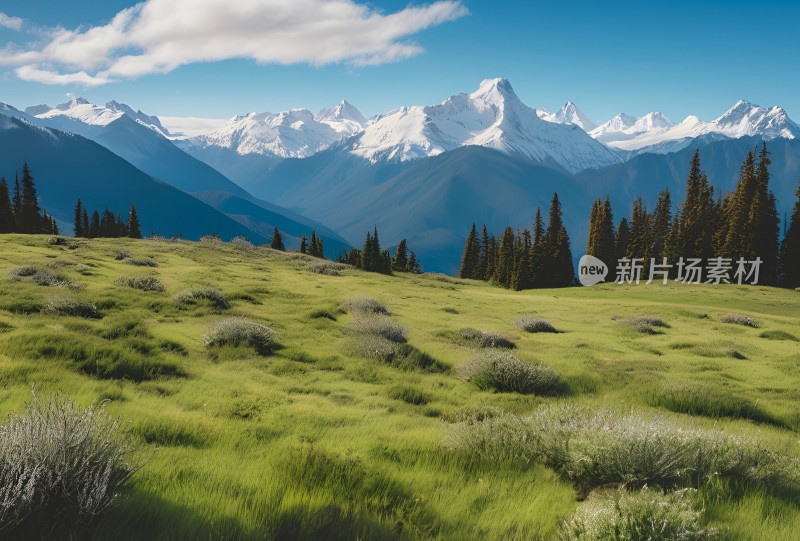 雪山高原草原森林风景