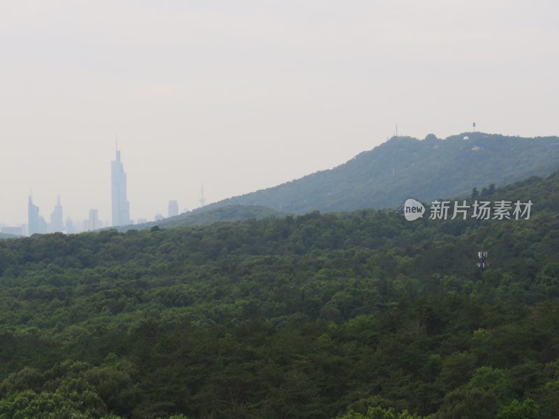 南京紫金山灵谷寺风景区