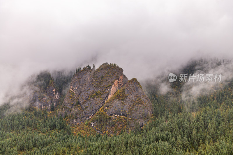 云雾缭绕的山峰森林