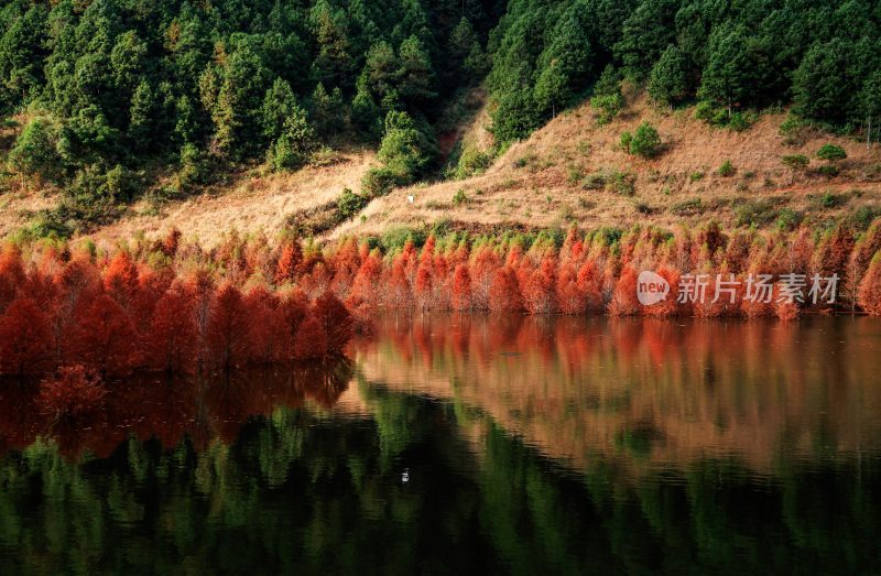 昆明寻甸三月三：色彩斑斓  冬景如画